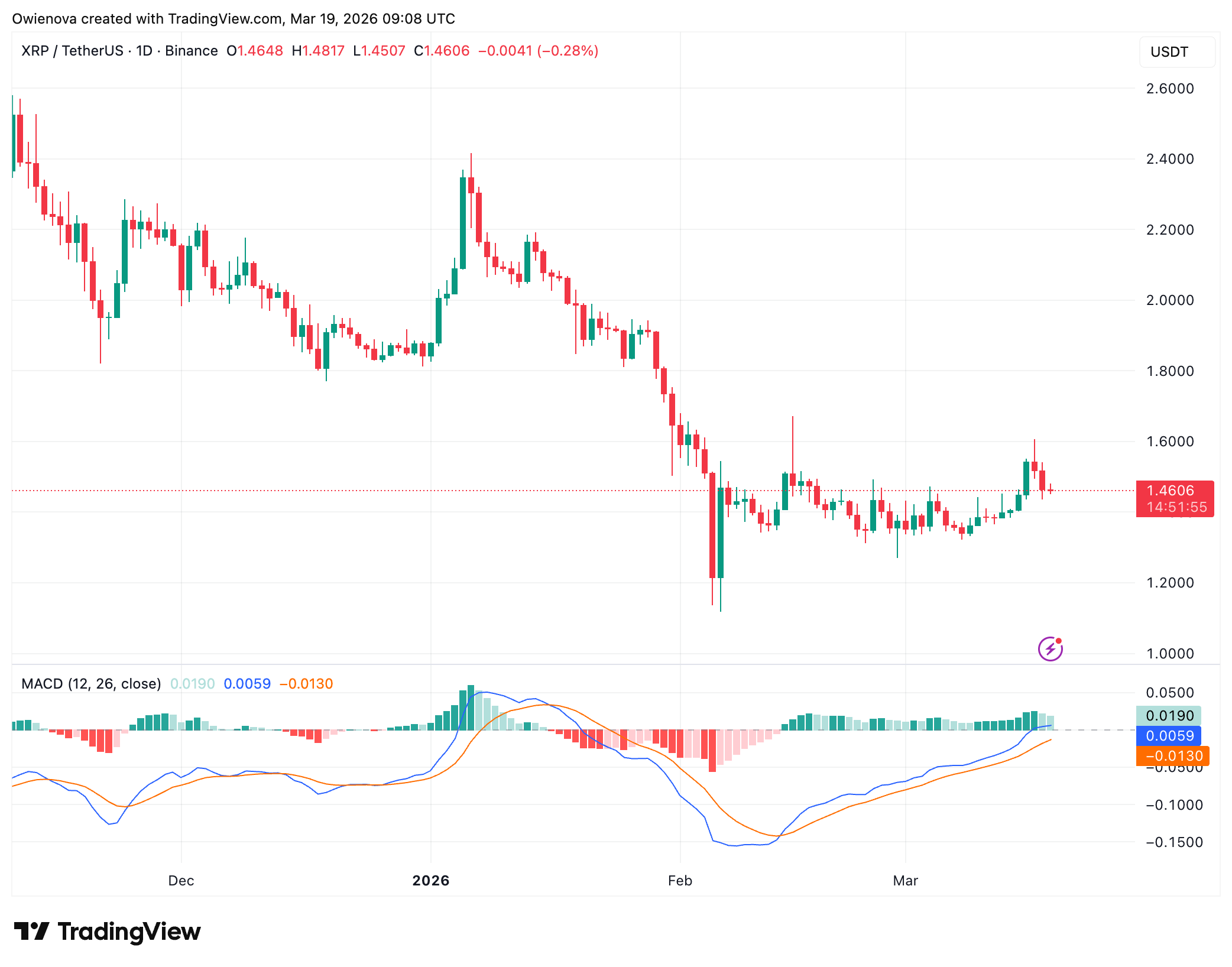 XRP adoption metrics and network activity