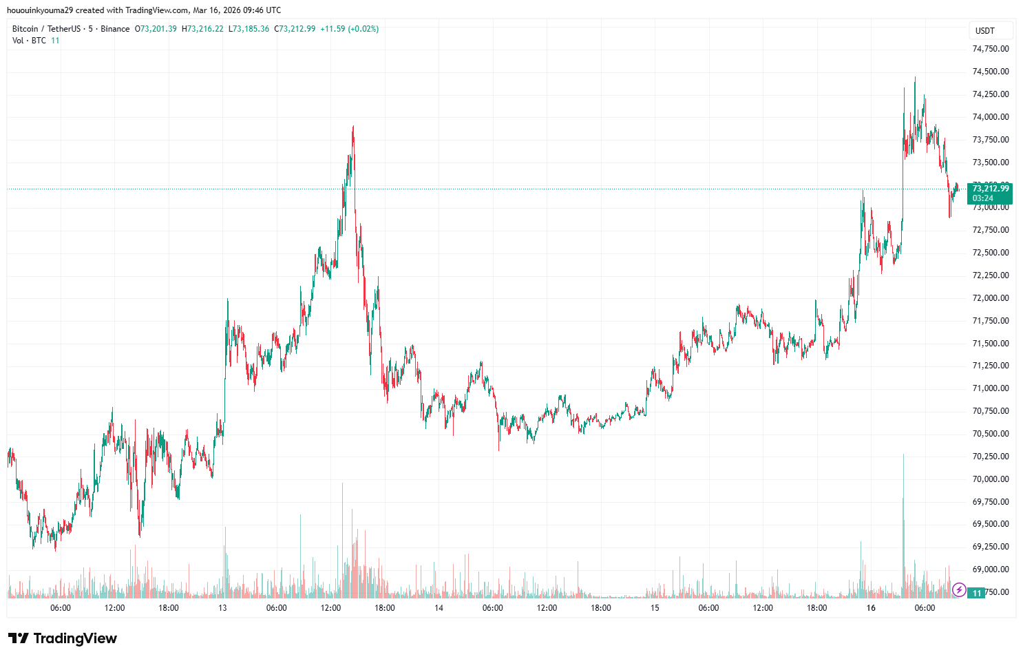 Bitcoin price chart