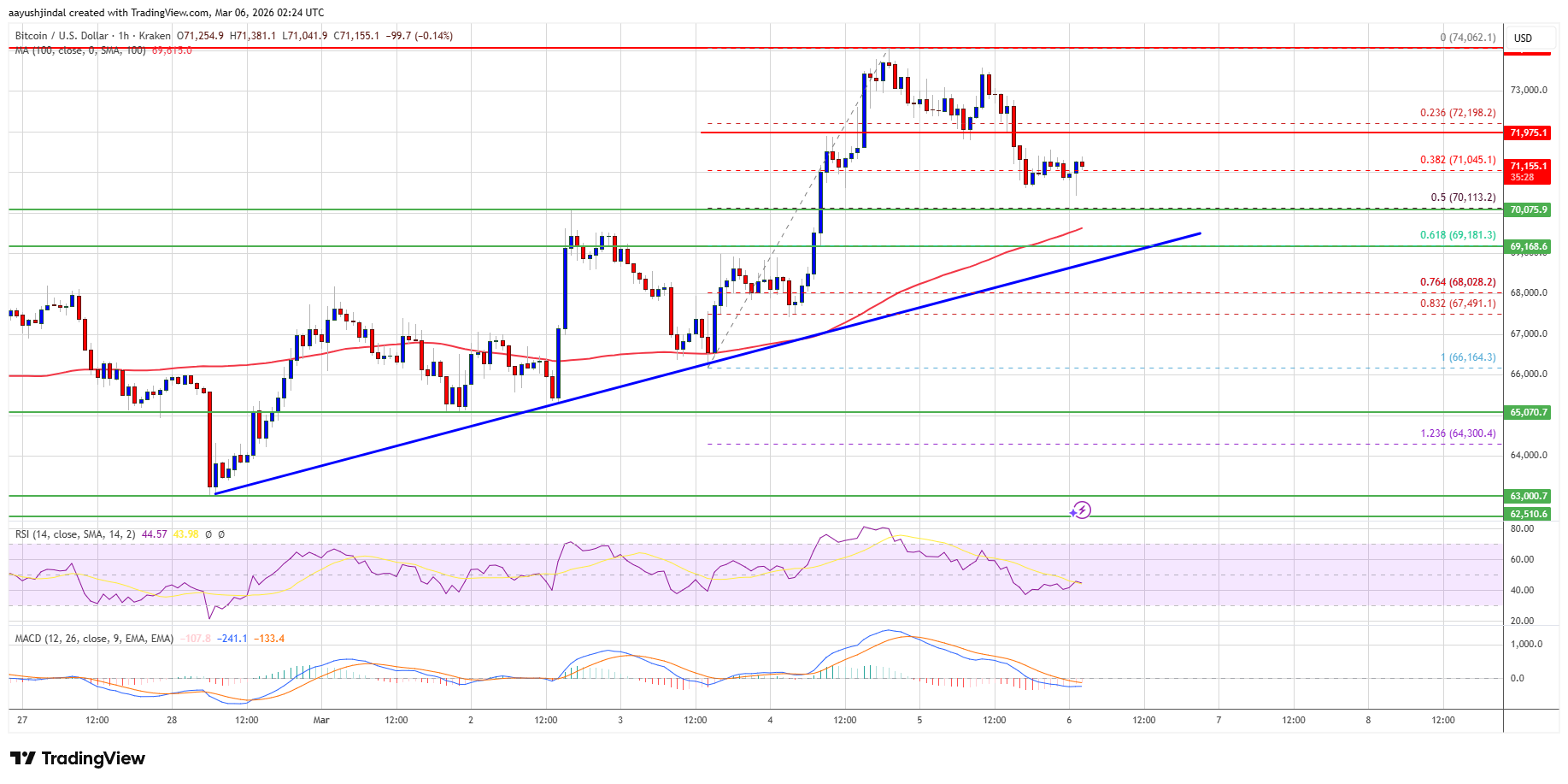 Bitcoin price chart