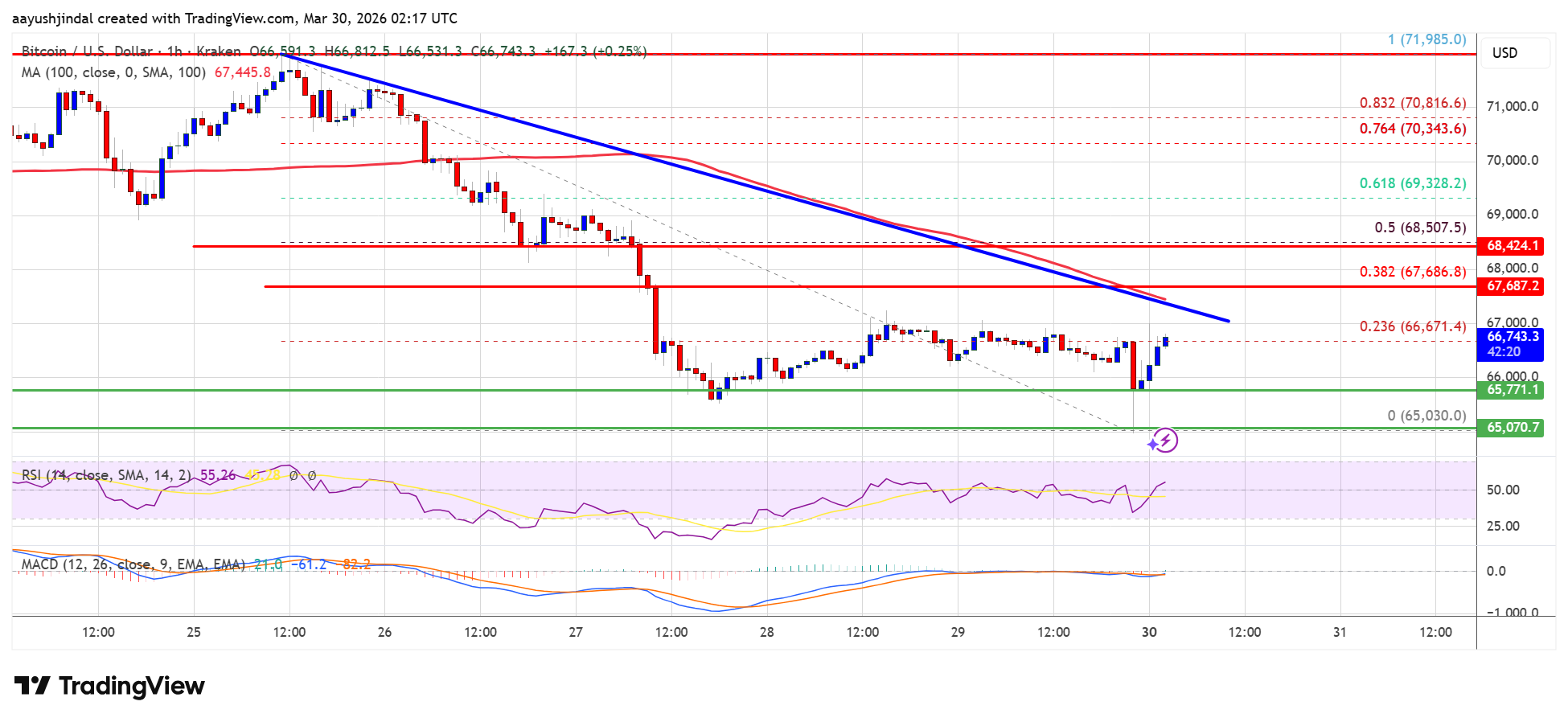 Bitcoin price chart