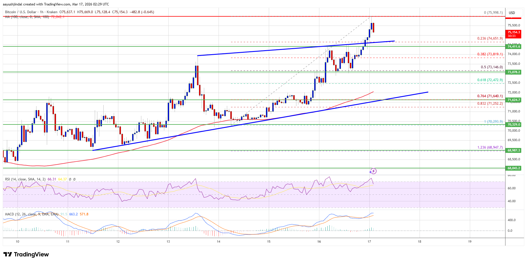 Bitcoin price hourly chart with key levels