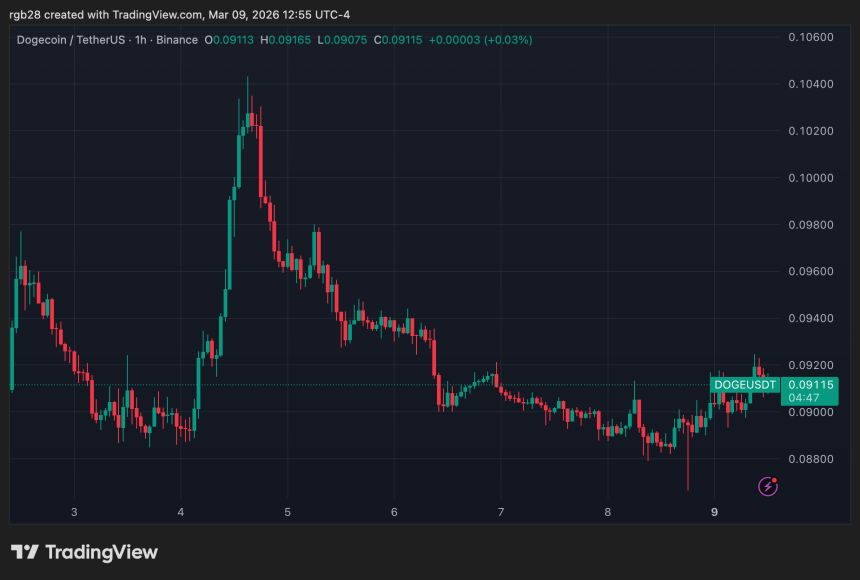 DOGE macro pennant and cycles