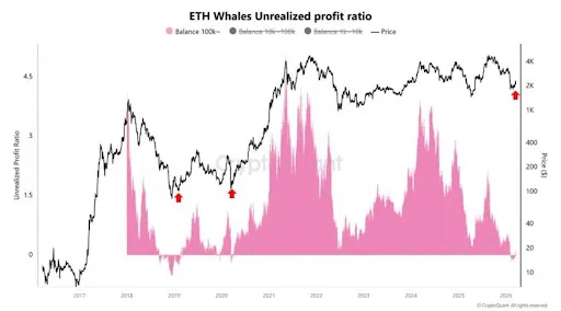Ethereum whale profitability chart by CW