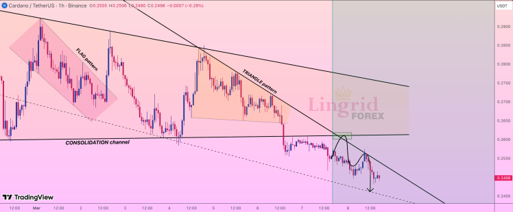 Cardano price