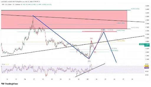 XRP intraday chart from CasiTrades