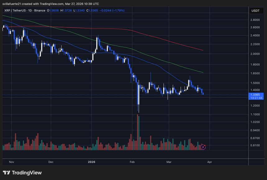 XRP consolidates around the $1.33 support | Source: XRPUSDT chart on TradingView