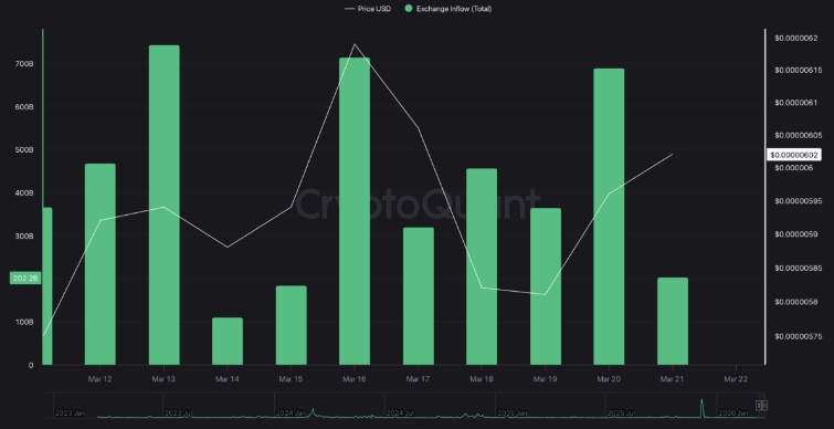 Shiba Inu market overview