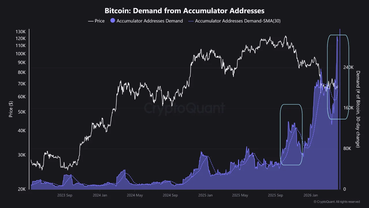 Bitcoin accumulator demand divergence — CryptoQuant