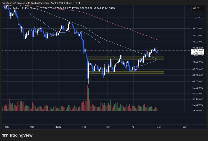 BTC testing resistance | Source: TradingView