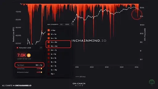 Bitcoin on-chain realized losses chart