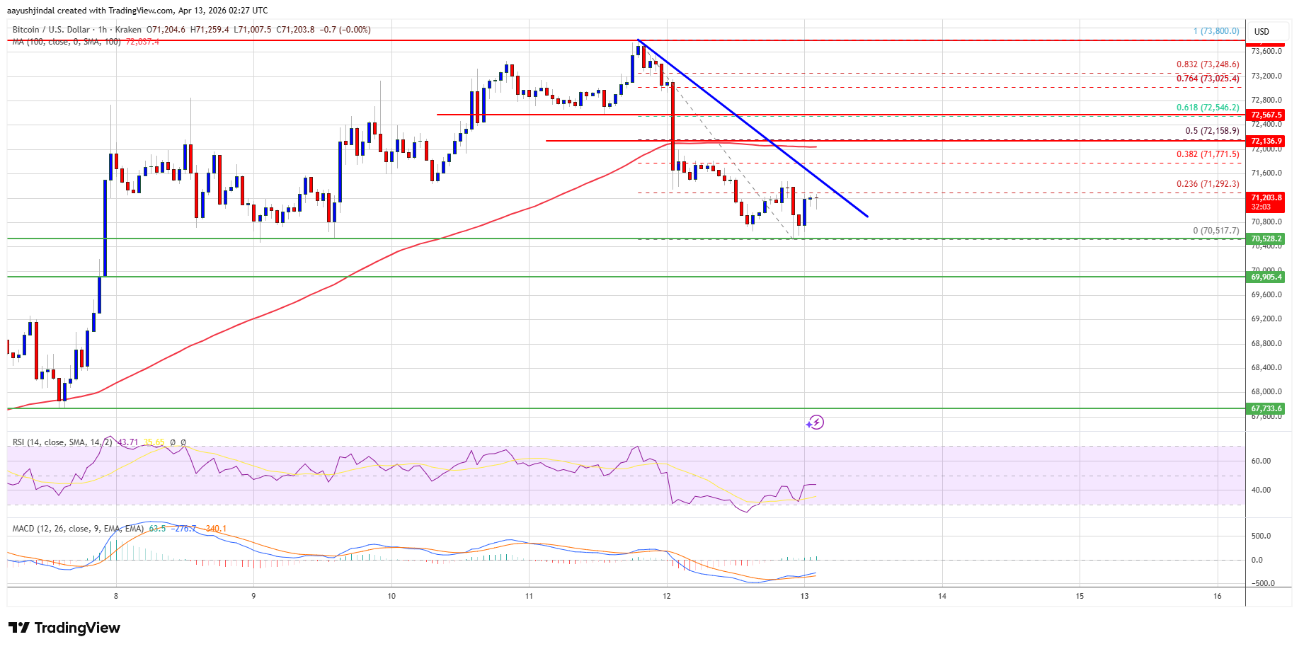 Bitcoin price chart