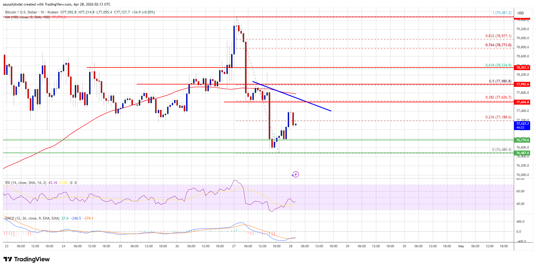 Bitcoin price chart