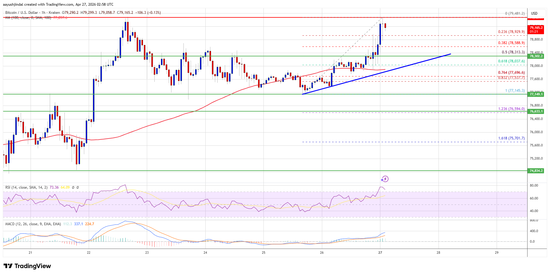 Bitcoin price chart