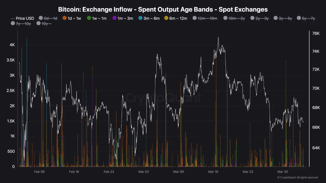 Bitcoin range and holder cohorts chart