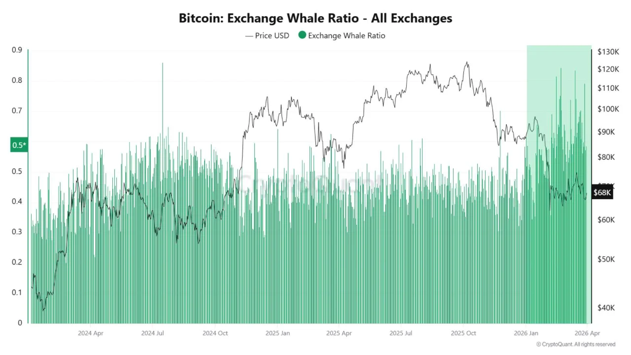 Bitcoin Exchange Whale Ratio | Source: CryptoQuant