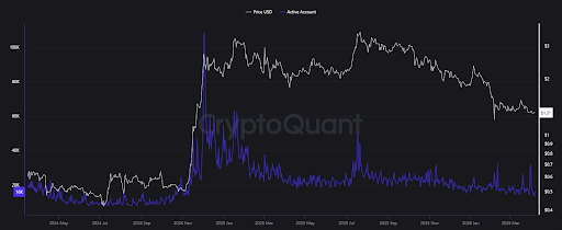XRPL wallets and activity trend