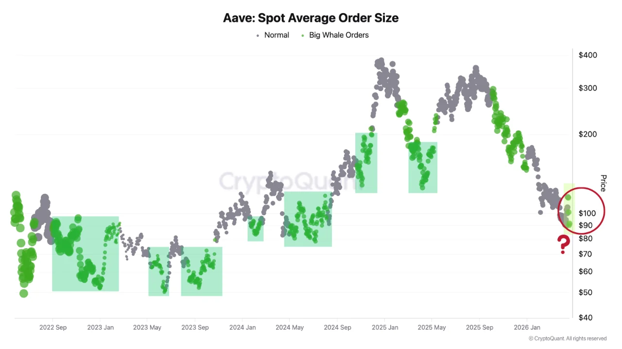 Aave: Spot Average Order Size | Source: CryptoQuant