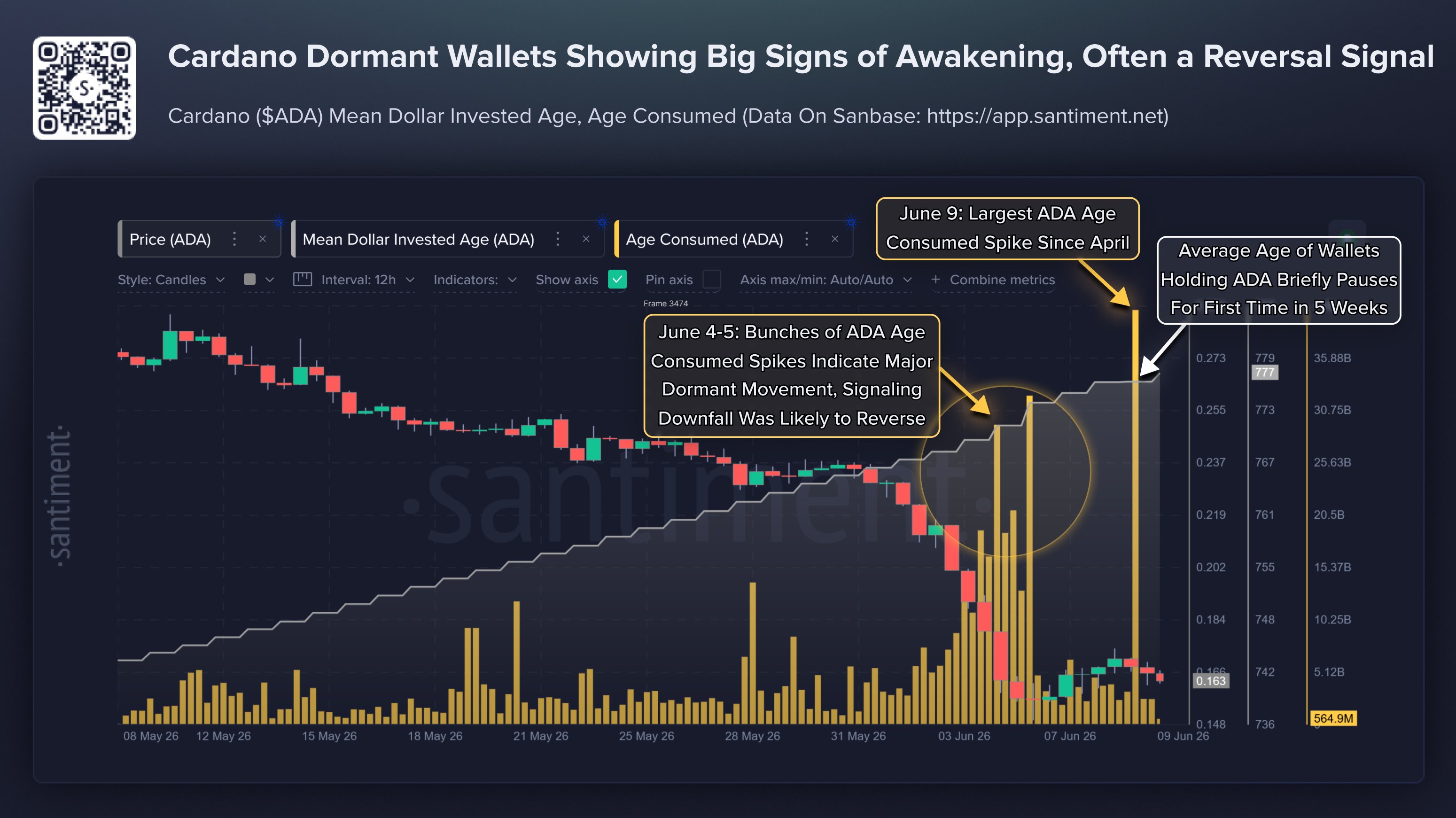 Cardano Age Consumed