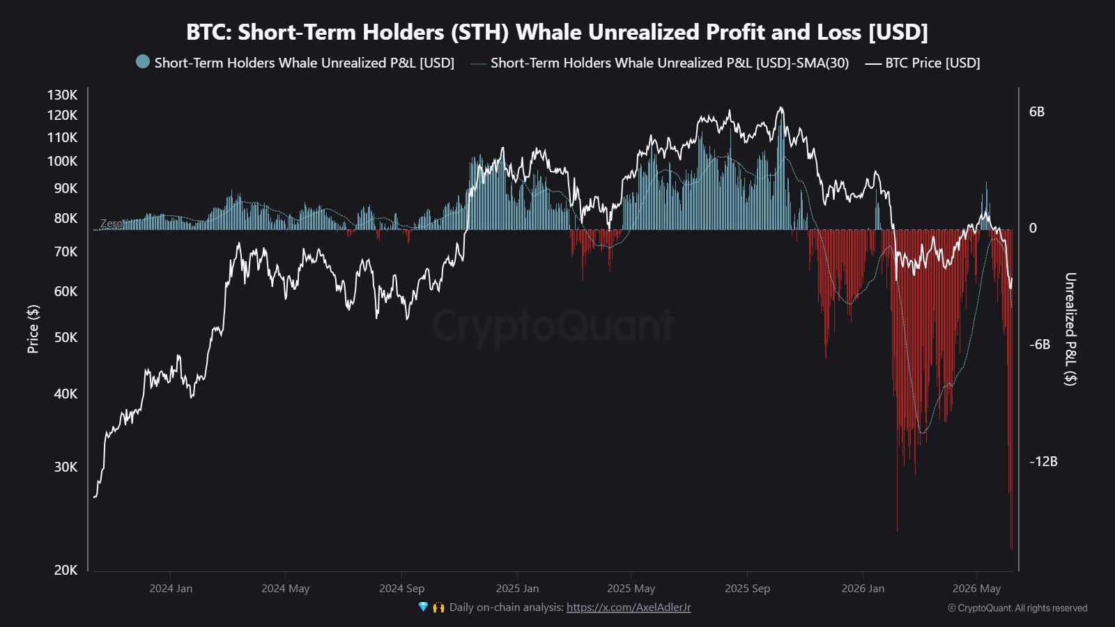 STH whale unrealized P&L
