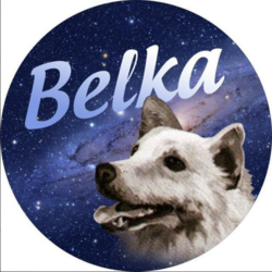 Belka [OLD] (BLK)