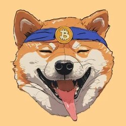 BitDoge (BITDOGE)