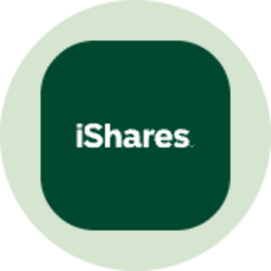 iShares 3-7 Year Treasury Bond ETF (Ondo Tokenized) (IEION)