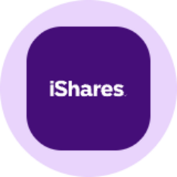 iShares Expanded Tech-Software ETF (Ondo Tokenized) (IGVON)