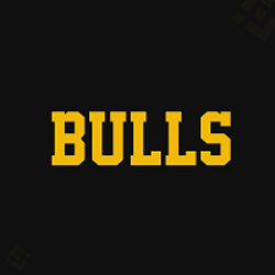 Bulls (BULLS)