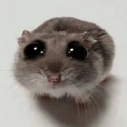 SAD HAMSTER (HAMMY)