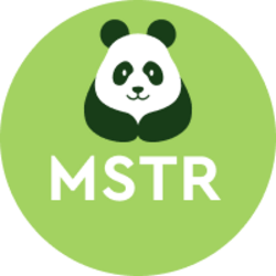 TWIN ASSET TOKEN MSTR (MSTR)