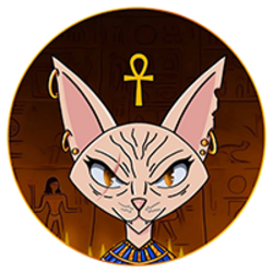 Egypt Cat (SPHYNX)