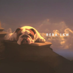 US Ambassador Animal Cruelty Law (REBA)