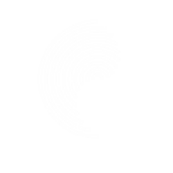 Concentric.fi (CONE)