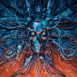 DarkMeta (DMT)