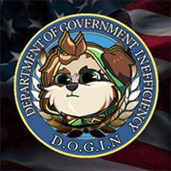 Department of Government Inefficiency (DOGIN)