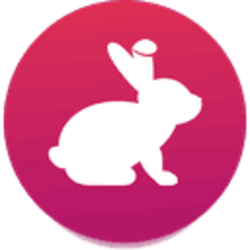 Bunny (BUNNY)