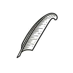 Nuance (SN23)
