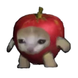 Apple Cat ($ACAT)