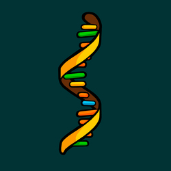 RNA (RNA)