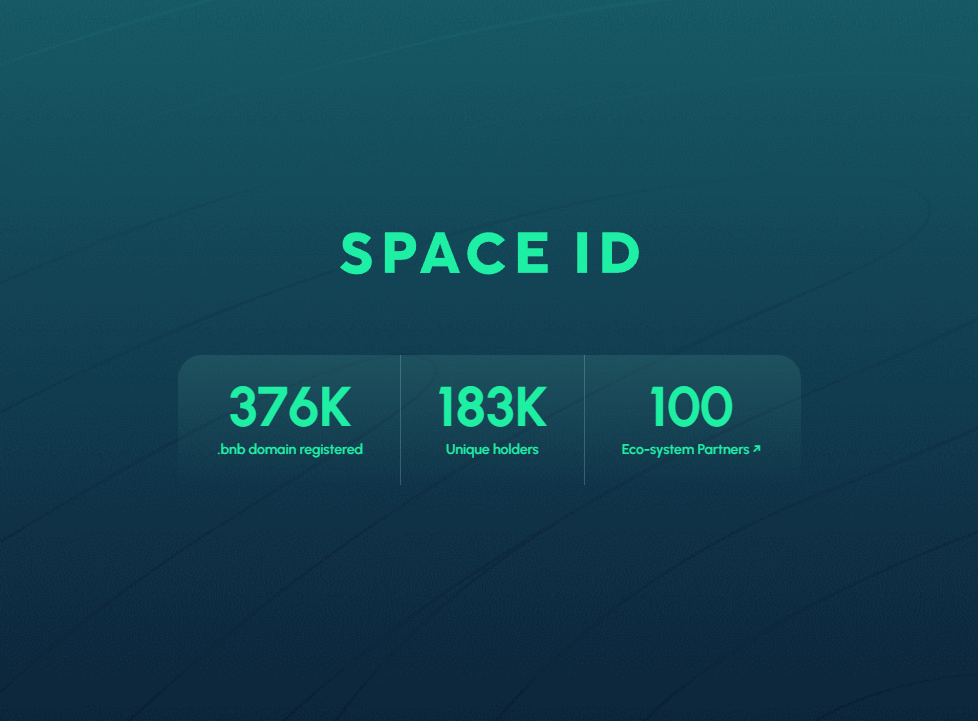 У Space.id пока наблюдаются проблемы при регистрации через Metamask