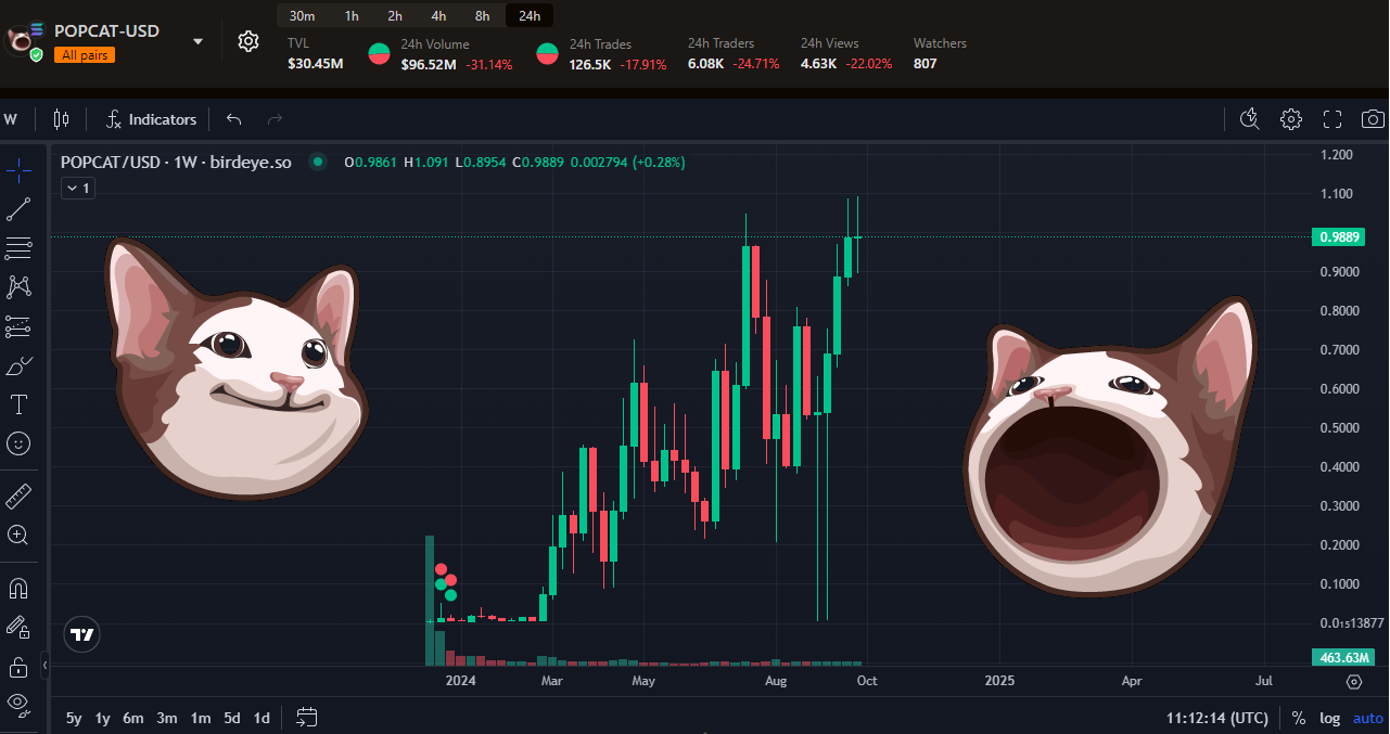 The growth of POPCAT's price. The chart kindly reminded me that I sold the token at $0.02 :(